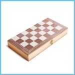 Beginner Chess Set