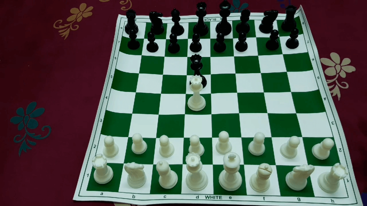 Stonkraft Chess Set