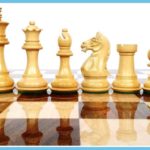 Fierce Knight Chess Sets