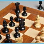 French Lardy Chess Pieces 5