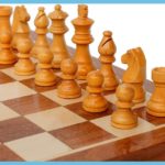 Stonkraft Chess Pieces