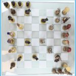 Pharaoh Army Vs Augustus Caesar Frosted Glass Chessboards